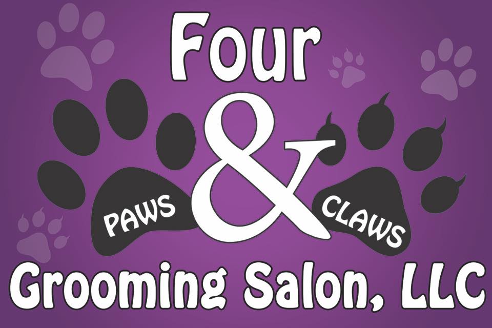 Pet grooming in progress at Cleveland neighborhood salon