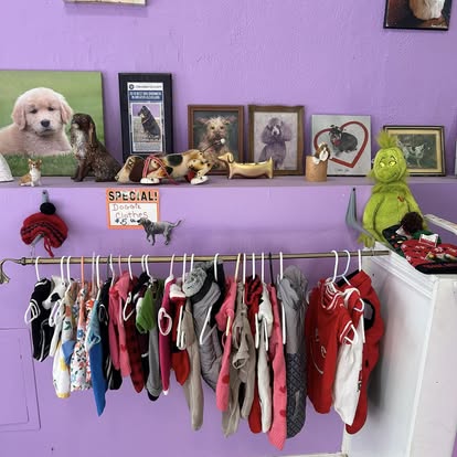 Happy dog after grooming appointment at Four Paws & Claws