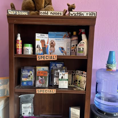 Fluffy dog fresh out of the salon at Four Paws & Claws Cleveland